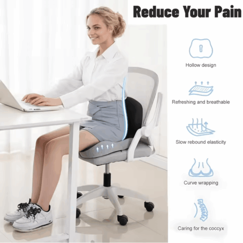 Celinva Orthopedic Cushion (Official Retailer) [year]