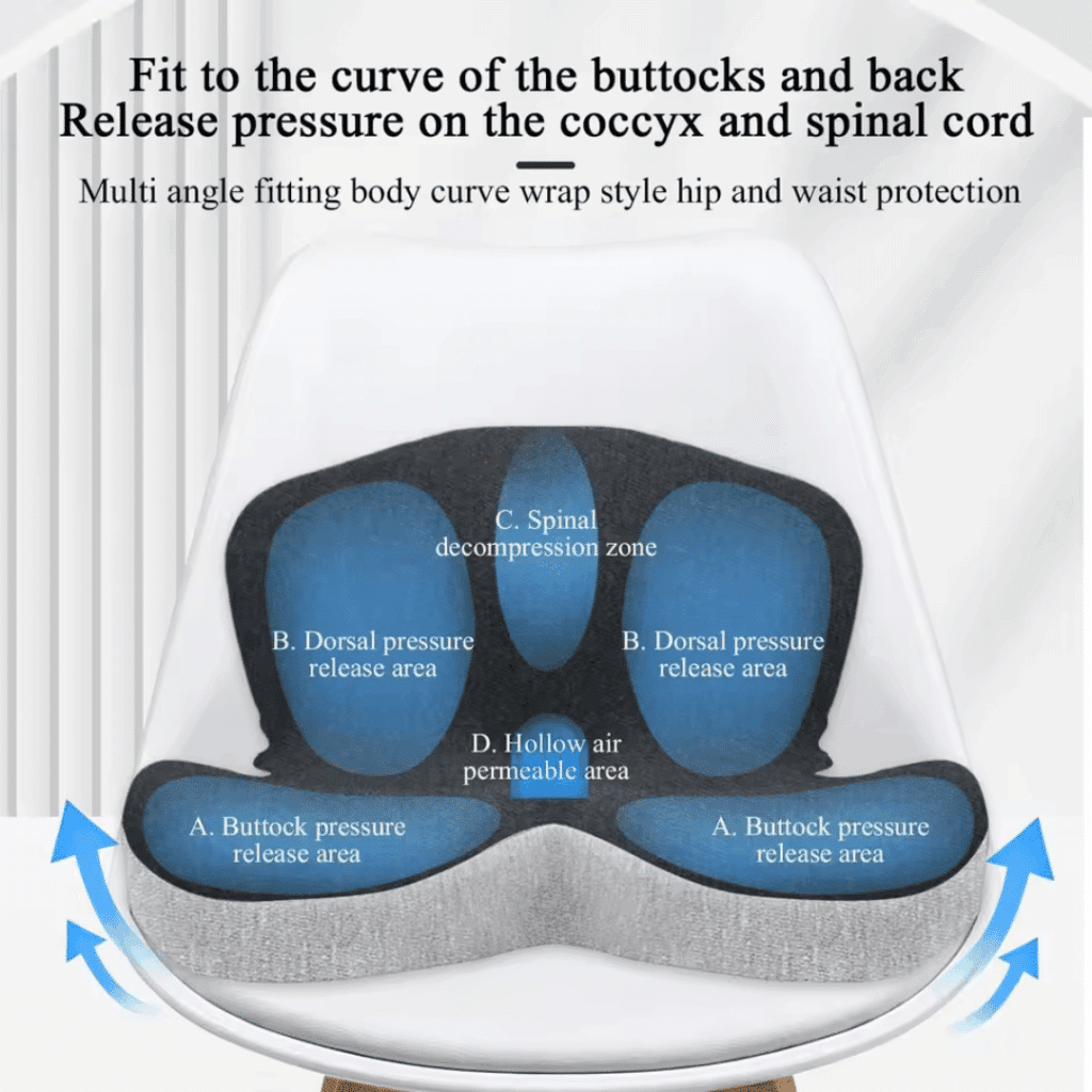 Celinva Orthopedic Cushion (Official Retailer) [year]