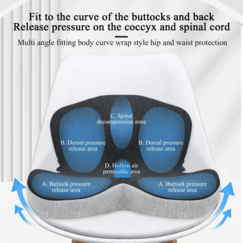 Celinva Orthopedic Cushion (Official Retailer) [year]